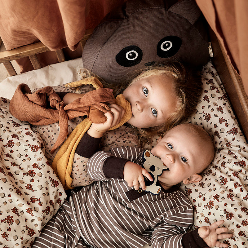 nuuroo Bana pude Pude Falcon