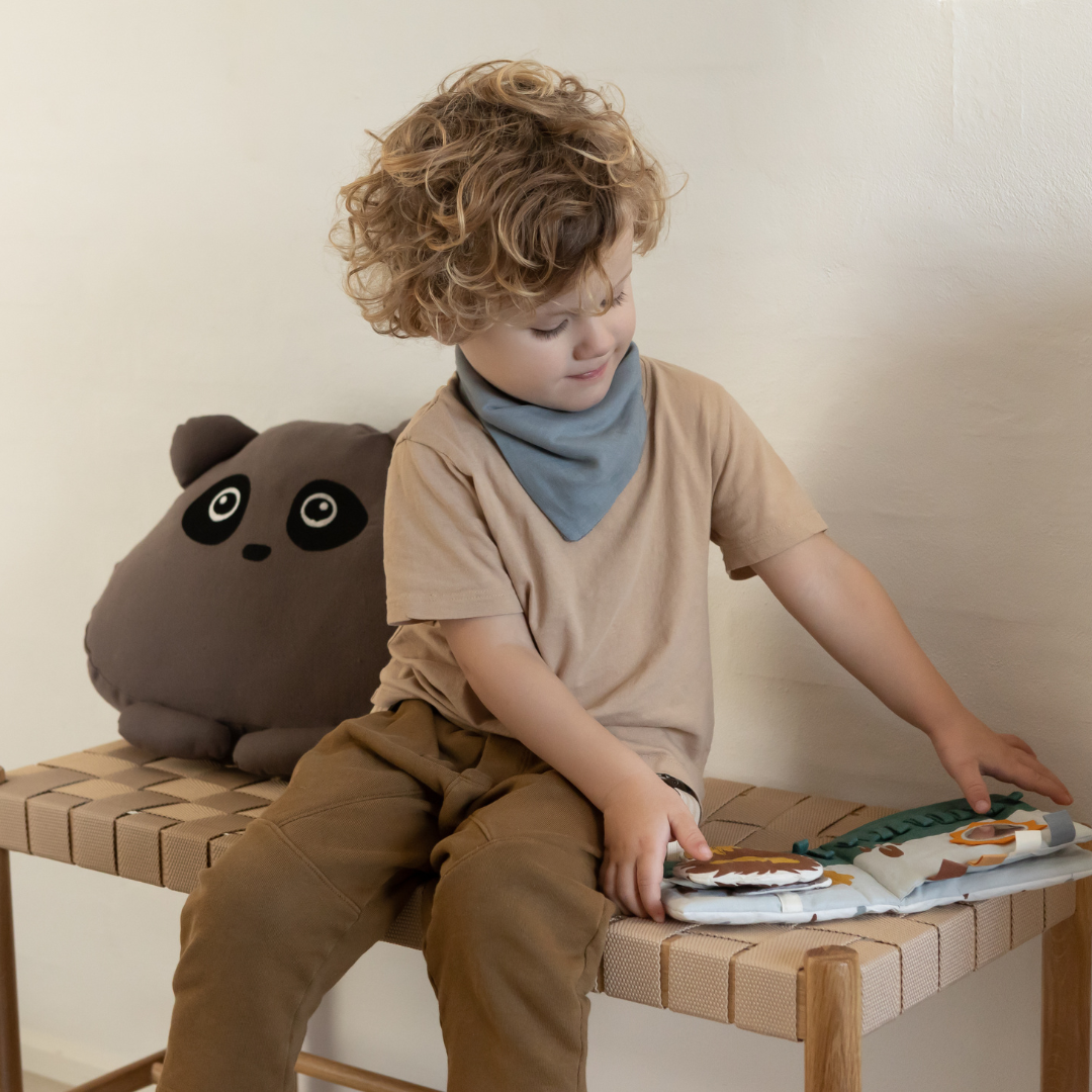 nuuroo Bana pude Pude Falcon